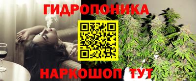 СК Пыть-Ях