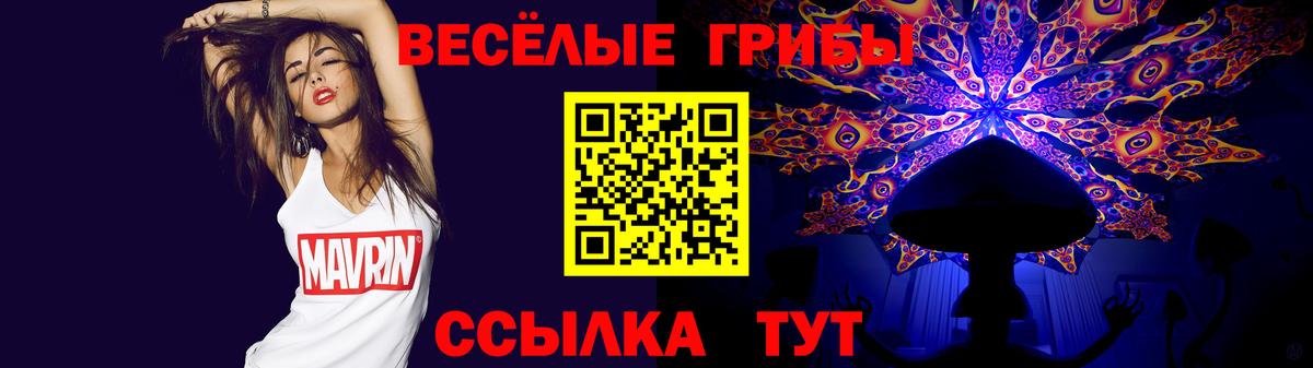 Ржев  Псилоцибиновые грибы GOLDEN TEACHER  продажа наркотиков  Вход с VPN 